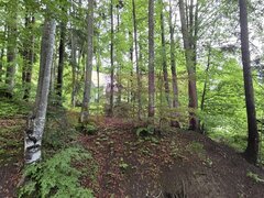 Teren intravilan 720 mp Sinaia