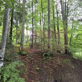 Teren intravilan 720 mp Sinaia